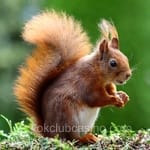 Avatar Abel Salvatierra