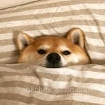 Avatar Ángel Valdés